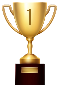 Crypto trading progress chart